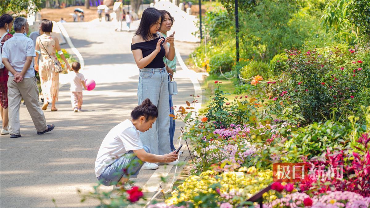 宝马线上娱乐线路检测
